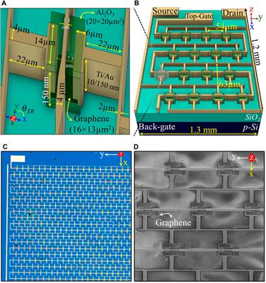 Versatile and active THz wave polarization modulators using metamaterial/graphene resonators